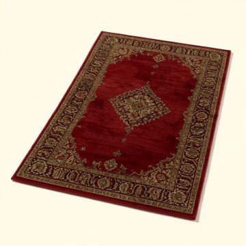 Power Loom Red/Brown Rug (synthetic illustration; no displayed measurements)
