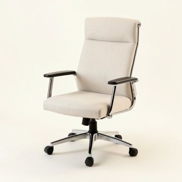 Aricijana Office Executive Chair (synthetic illustration; no displayed measurements)