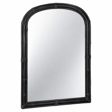 Fern Branch Framed Wall Mirror - Black