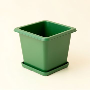 Pine Arc Empty Planter - Green (synthetic illustration; no displayed measurements)