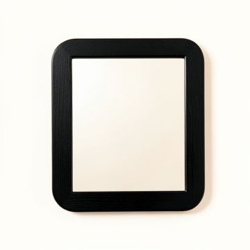 Summit Branch Framed Wall Mirror - Black (synthetic illustration; no displayed measurements)
