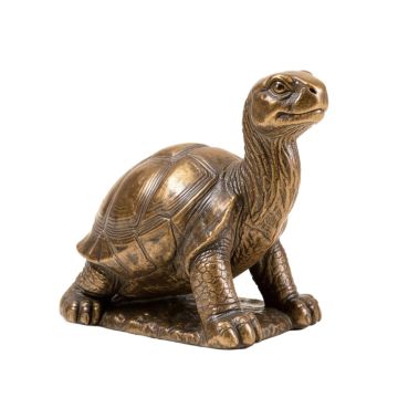 Donita Reading Tortoise And Hare Solar Statue