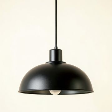 Lake Canyon Pendant Light Suspended From One Plain Cable - Black (synthetic illustration; no displayed measurements)