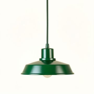 Slate Dale Pendant Light Suspended From One Plain Cable - Green (synthetic illustration; no displayed measurements)