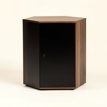 Bandini Storage Cabinet (synthetic illustration; no displayed measurements)