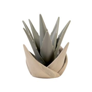 Ralston Spiral Aloe Garden Art