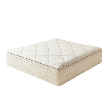 Winsor 4.5 '' Plush Innerspring Mattress