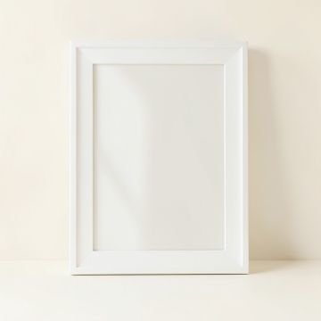 Wren Canyon Framed Wall Mirror - White (synthetic illustration; no displayed measurements)