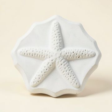 6 '' X 6 '' Seastone Cement Starfish Fossil Impression Bevel Edge Medallion Tile In White (synthetic illustration; no displayed measurements)