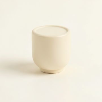 Moss Branch Cabinet Knob Without Packaging - Ivory (synthetic illustration; no displayed measurements)