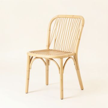 Lake Bend Dining Chair - Ivory (synthetic illustration; no displayed measurements)
