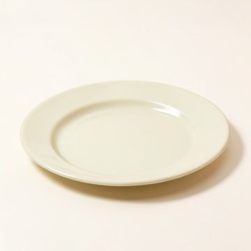 Willsboro Melamine 8.25 '' Salad Plate (synthetic illustration; no displayed measurements)