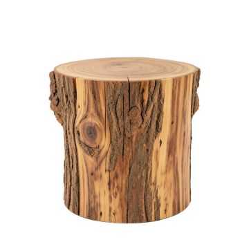 Mader Solid Wood Tree Stump End Table