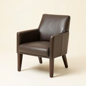 Tynecastle Upholstered Dining Chair (synthetic illustration; no displayed measurements)