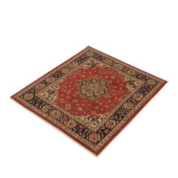 Oriental Hand Knotted Wool Area Rug