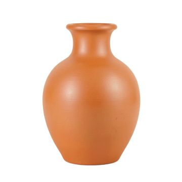 Aspen Bend Empty Decorative Vase - Terracotta