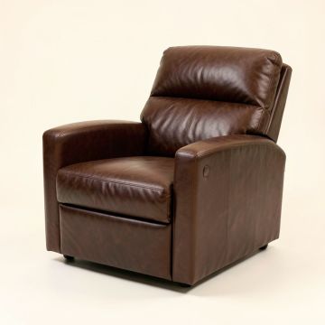 Dropati 29 '' Wide Power Lift Assist Home Theater Recliner (synthetic illustration; no displayed measurements)