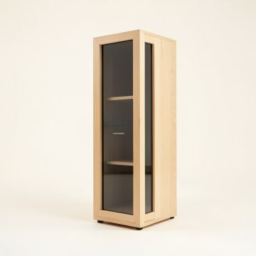 Glass Panel Door Audio Cabinet (synthetic illustration; no displayed measurements)