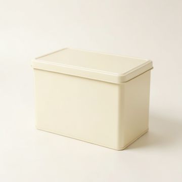 Shore Branch Closed Outdoor Storage Box - Ivory (synthetic illustration; no displayed measurements)