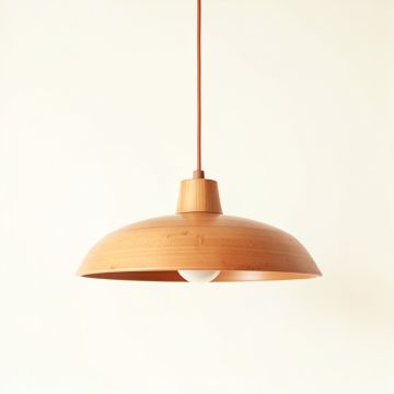 Spruce Bend Pendant Light Suspended From One Plain Cable - Terracotta (synthetic illustration; no displayed measurements)