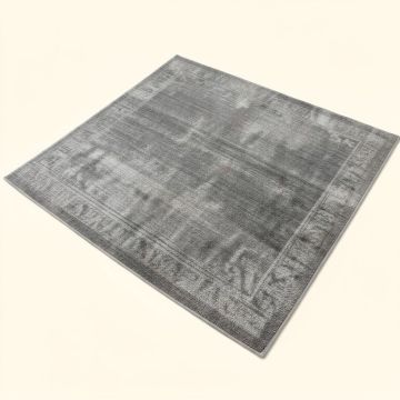 Arteaga Oriental Gray Area Rug (synthetic illustration; no displayed measurements)