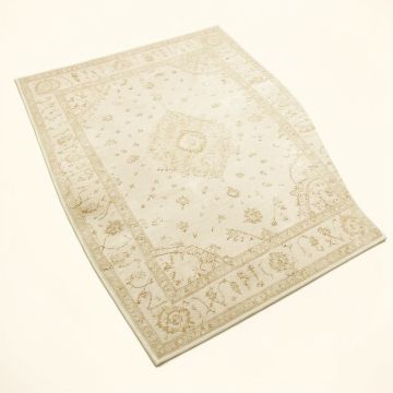 Cantey Oriental Ivory Area Rug (synthetic illustration; no displayed measurements)