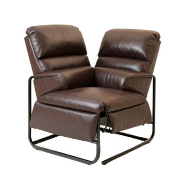 Daleisa 32 '' Wide Power Lift Assist Standard Recliner