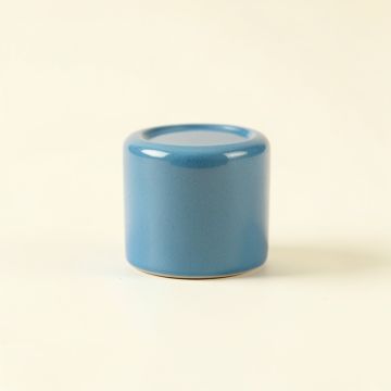 Sage Bend Cabinet Knob Without Packaging - Blue (synthetic illustration; no displayed measurements)
