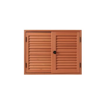 Holly Dale Wall-Mounted Entry Cabinet - Terracotta