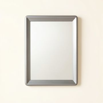 Lake Crest Framed Wall Mirror - Gray (synthetic illustration; no displayed measurements)
