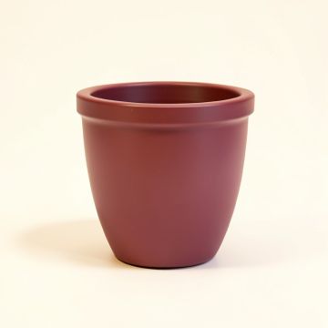 Carraway Plastic Pot Planter (synthetic illustration; no displayed measurements)