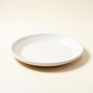 Cape Coral Shell Platter (synthetic illustration; no displayed measurements)