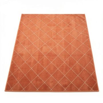 Birch Bend Rectangular Area Rug - Terracotta (synthetic illustration; no displayed measurements)