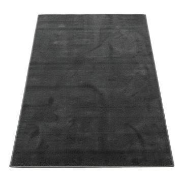Kronborg Shag Dark Gray Area Rug