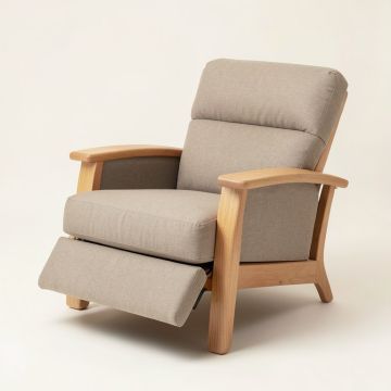 Leni 33.5 '' Wide Manual Standard Recliner (synthetic illustration; no displayed measurements)