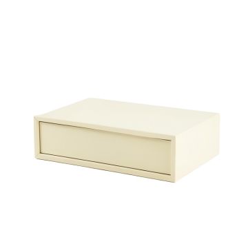 Glen Canyon Desktop Monitor Riser - Ivory (synthetic illustration; no displayed measurements)