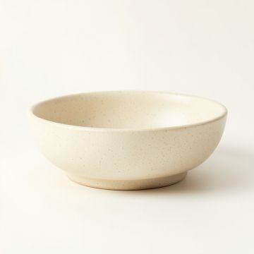 Willow Bridge Dining Bowl - Cream (synthetic illustration; no displayed measurements)
