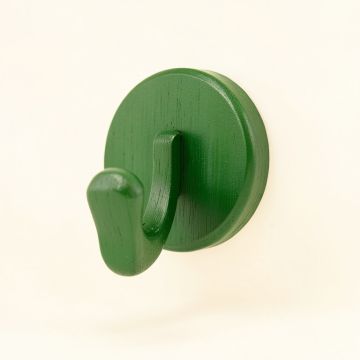 Stone Crossing Wall-Mounted Robe Hook - Green (synthetic illustration; no displayed measurements)