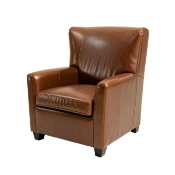 55.5 '' Wide Wingback Chair