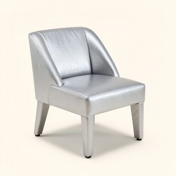Mabie Upholstered Side Chair In Silver (synthetic illustration; no displayed measurements)