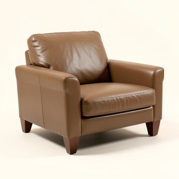Scalli 79 '' Pillow Top Arm Loveseat (synthetic illustration; no displayed measurements)