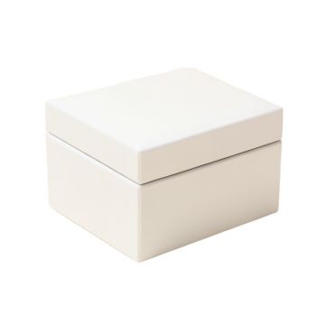 Jewelry Box With Organizer
