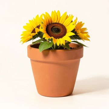 Matelles Raised Sunflower Terracotta Pot Planter (synthetic illustration; no displayed measurements)