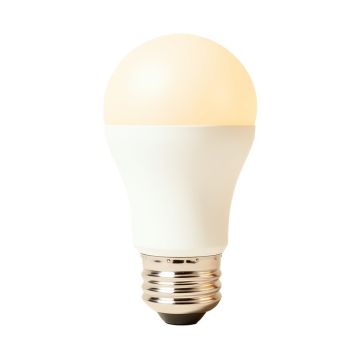40 Watt Equivalent Philips Hue