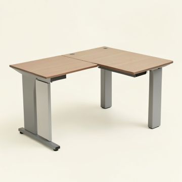 Delani L-Shape Desk (synthetic illustration; no displayed measurements)
