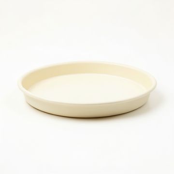Fern Branch Serving Tray - Cream (synthetic illustration; no displayed measurements)