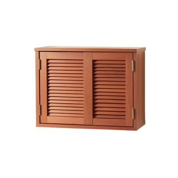 Meadow Canyon Wall-Mounted Entry Cabinet - Terracotta (synthetic illustration; no displayed measurements)