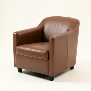 Netherby Chair In Brown (synthetic illustration; no displayed measurements)