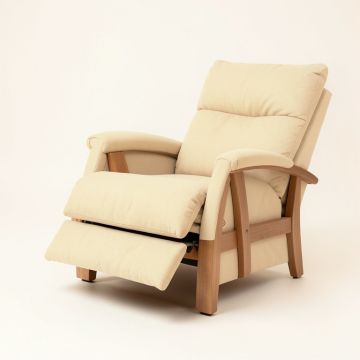 Adrit 41 '' Wide Power Lift Assist Standard Recliner (synthetic illustration; no displayed measurements)