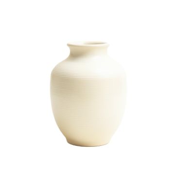 Juniper Crest Empty Decorative Vase - Cream